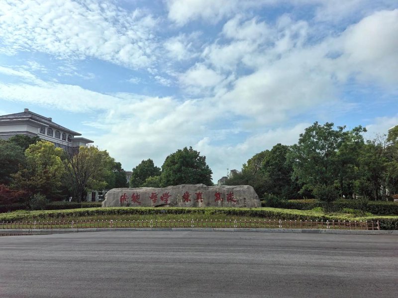 信息咨询服务部：企业健康成长的导航者